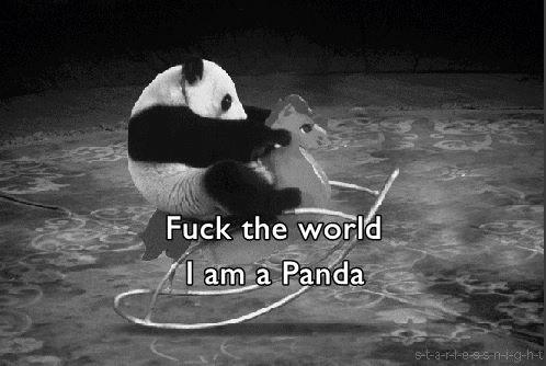 Jimbonader's tweet photo. Denkst du dir das manchmal? ;) @thisiscro http://t.co/JY0cf200