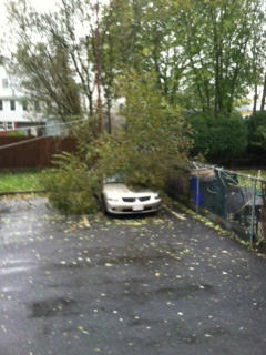 julio muniz (@djplayero) on Twitter photo 