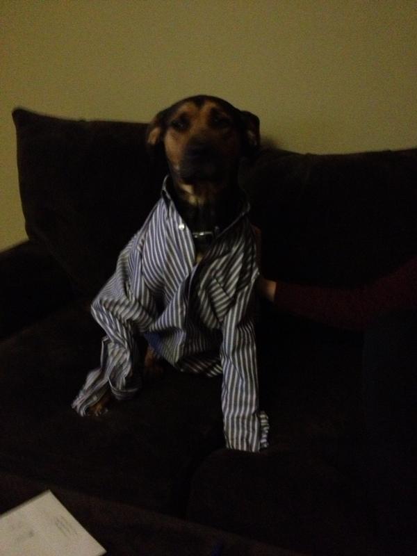 D_Pims's tweet photo. Do you think the office will fall for it? http://t.co/vKzIMOFD