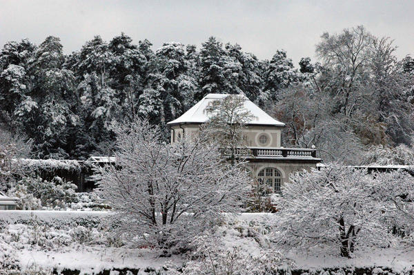 botmuc's tweet photo. Der plötzliche Wintereinbruch hat den Botanischen Garten in eine wunderschöne Schneelandschaft verwandelt. - by http://t.co/zJGC29gA