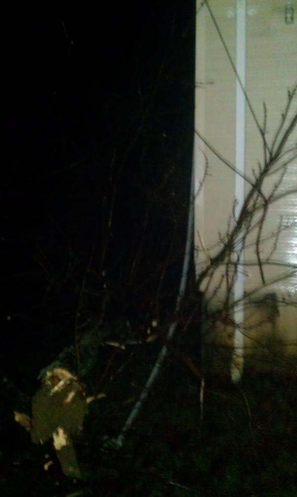 Our house just got hit by a tree and took down some wires but we still have power n cable