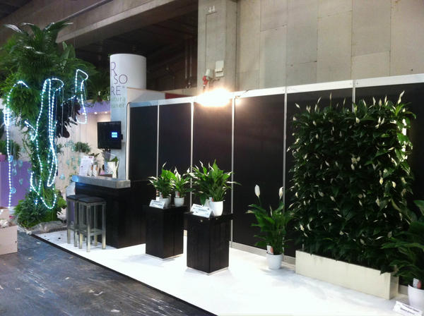 Wij zijn ook klaar voor de #FHTF, best trots op onze stand. Komt allen naar onze stand D.19 naast <a href="/airsopureplants/">Air So Pure Plants</a>