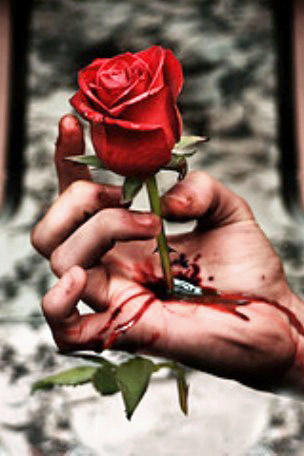derya_dk's tweet photo. Gülü seven dikenine katlanır. benimle ayni fikirde olanlar yorumlarinizı beklıyorum:-) http://t.co/LMJmJ1Gz