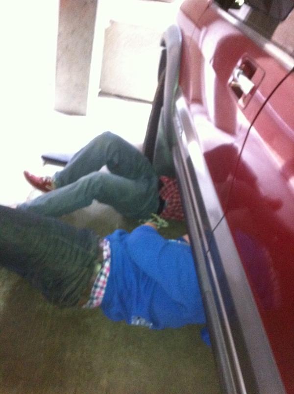 ASPCUBoulder's tweet image. 