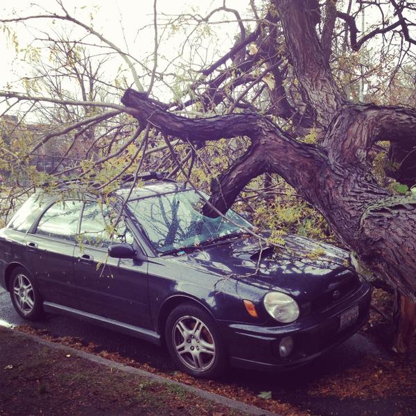 clairewasserman's tweet photo. @ABCWorldNews Fort Hamilton, Brooklyn #sandy http://t.co/9cqoiGPP