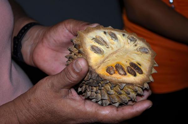 fedico51's tweet image. A través de los sentidos #ViveColima, visita CAJA SENSORIAL en la #FeriaColima Gratis.