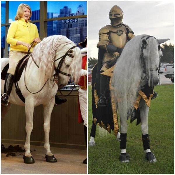 Ellen Degeneres On Twitter Just Got This Photo Of A Brand New