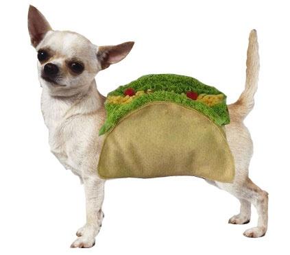 TrickyDogsShow's tweet image. Is your dog a hotdog? Or maybe more of a taco? Food costumes are great! bit.ly/T2FMAz #costume #dogs #trickydogs