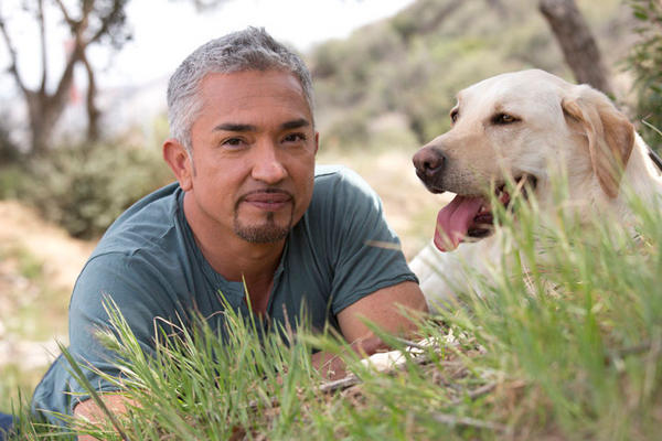 cesarmillan's tweet photo. Dogs experience the world as it is, without judgment. When we learn to do the same, we make the world a better place. http://t.co/MUZxekPV
