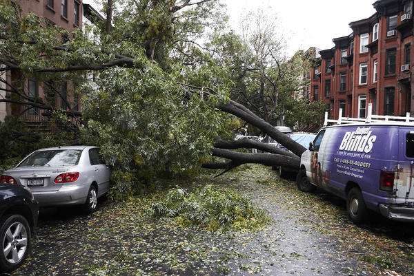 snorriman's tweet image. Garfield Place, Park Slope, #postsandy