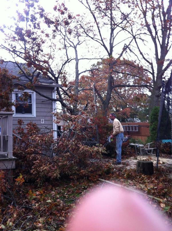 RHunts24's tweet image. @TheCUTCH22 yeah cutch thanks gor asking #treefell