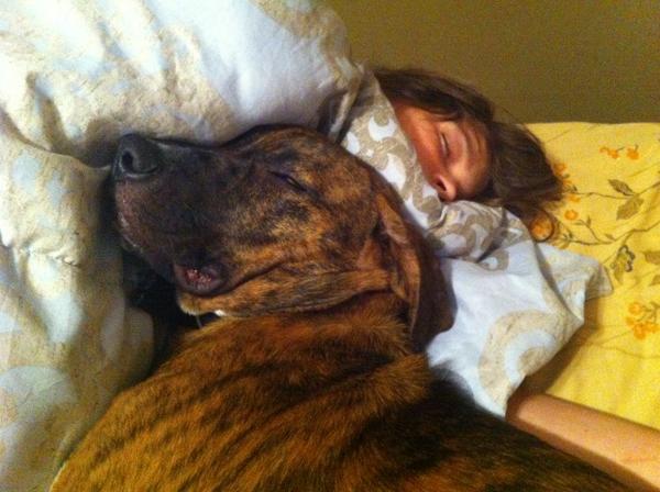 allison_heather's tweet photo. We're all having trouble waking up this morning. http://t.co/0sed0TZd