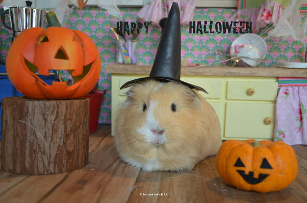 Burrowbunch's tweet image. It's here #Halloween