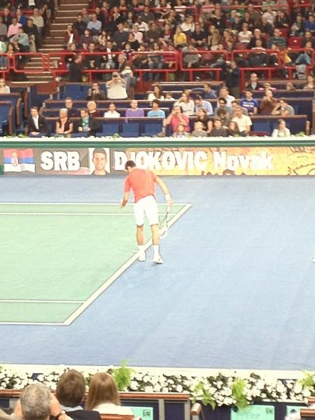SbastienLustig's tweet image. Go Novak ! Bercy is for U