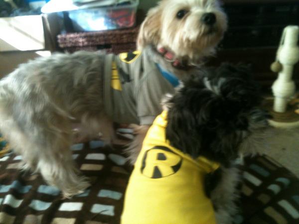 Lindsay Parton tweet media