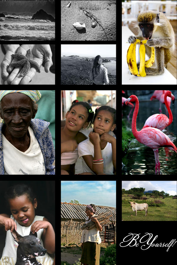 SnapKat Photography tweet media