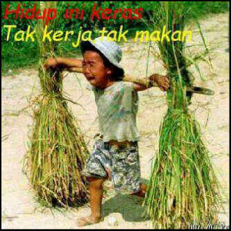 Azlie_Mahat's tweet photo. Kerja-kerja http://t.co/6tQCsNxR
