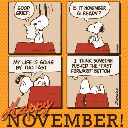 Image result for snoopy november