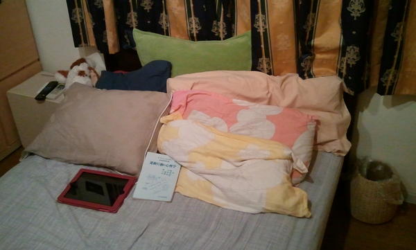 埋め込み画像への固定リンク