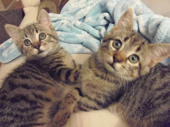 Watch Jb_mathews 💨🌿's leaked NSFW photo on TwXstars