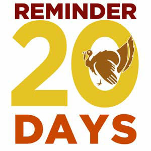There is only 20 days remaining to get those last minute paint projects done before guest arrive for Thanksgiving.