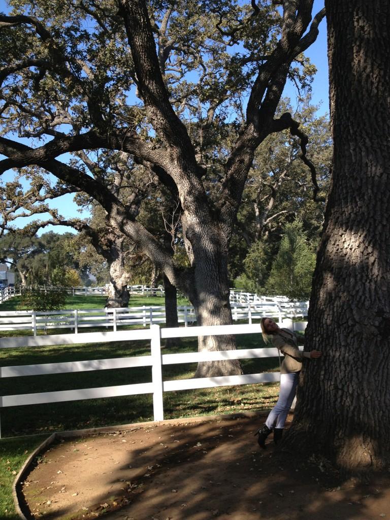 A6tn84OCQAA8OPN.jpg:large