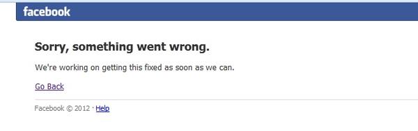 Eleanor Briscoe tweet media