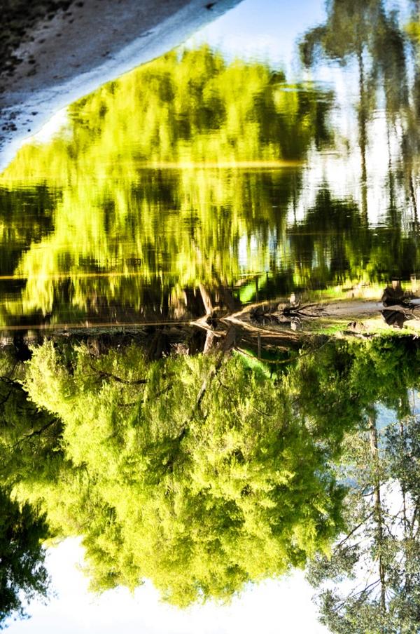 "HUMEDAL DE SUEÑOS" <a href="/MisaacTorresC/">MISAAC TORRES CUERVO</a>