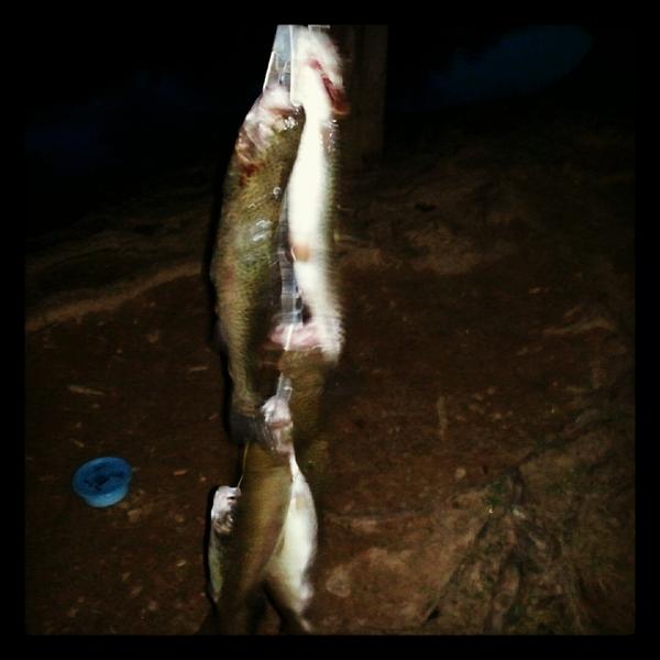 noahws14's tweet photo. Good catch for just a few hours http://t.co/ZAhe5jQn