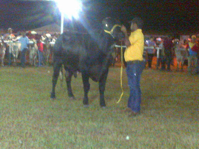 Exposici&oacute;n de ganado http://t.co/TvPbtdAG<a href="/tag/binance"class="tags"><span>#binance</span></a><a href="/tag/bitcoinbutton"class="tags"><span>#bitcoinbutton</span></a>