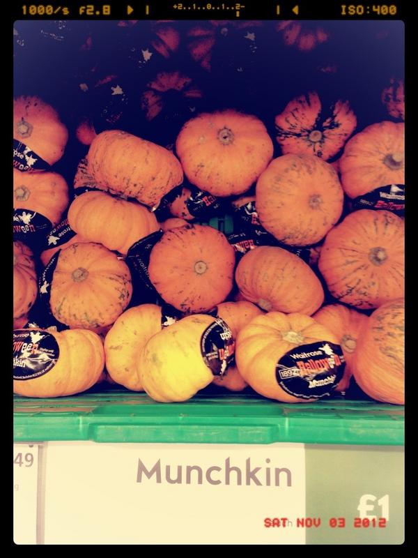 Jaimeclairee's tweet image. Just found these! #babypumpkins #muchkins #waitrose
