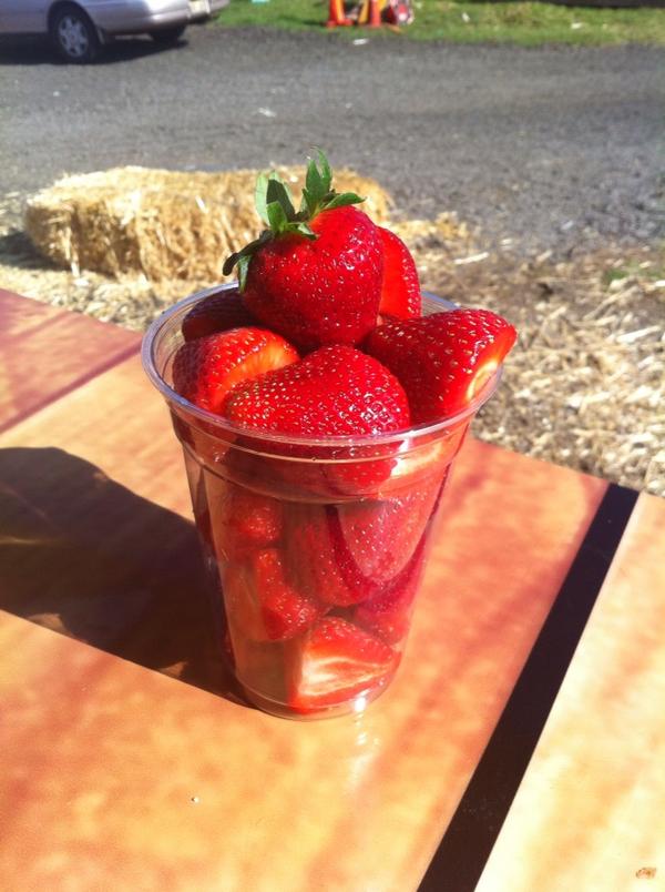 Strawberry Fruit Cup $3.00. Yum!