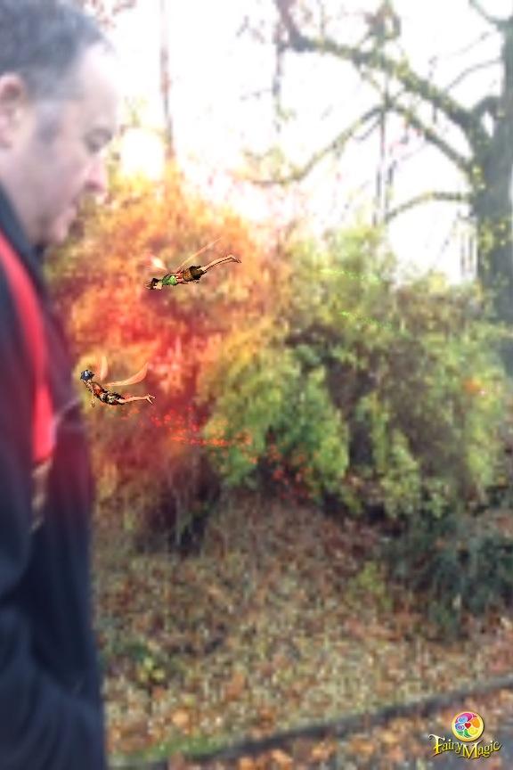 timmckane's tweet photo. #fairymagic in Botannic Gardens Belfast http://t.co/YiDK7P5L
