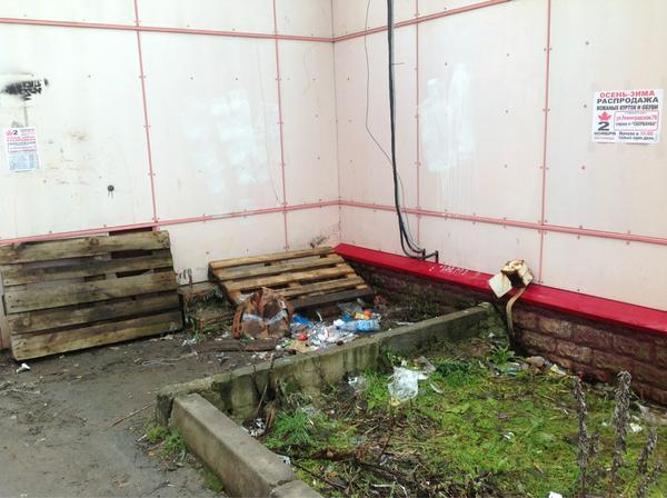 Прямая ссылка на встроенное изображение