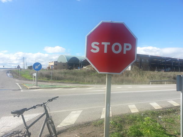 Alejind's tweet image. Vuelta en bici domingo por la mña sin resaca....q me esta pasando???