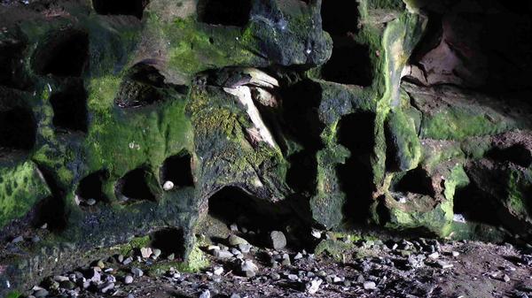 SaveWemyssCaves's tweet photo. Pigeon holes in the Doo Cave http://t.co/8bMJ5xOT
