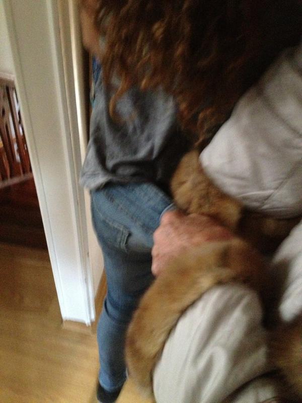 andreasanchezf's tweet photo. @CarlotaSanchezF : mama sacame la braaga! http://t.co/TFGOxG2w