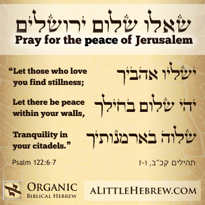 OrganicHebrew's tweet photo. Pray for the peace of Jerusalem - שאלו שלום ירושלים http://t.co/D1udDrYu