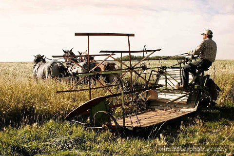 LCLRadio's tweet photo. Beautiful image of harvesting oats in Idaho, courtesy of photographer Michael Edminster. http://t.co/OSrSemI1