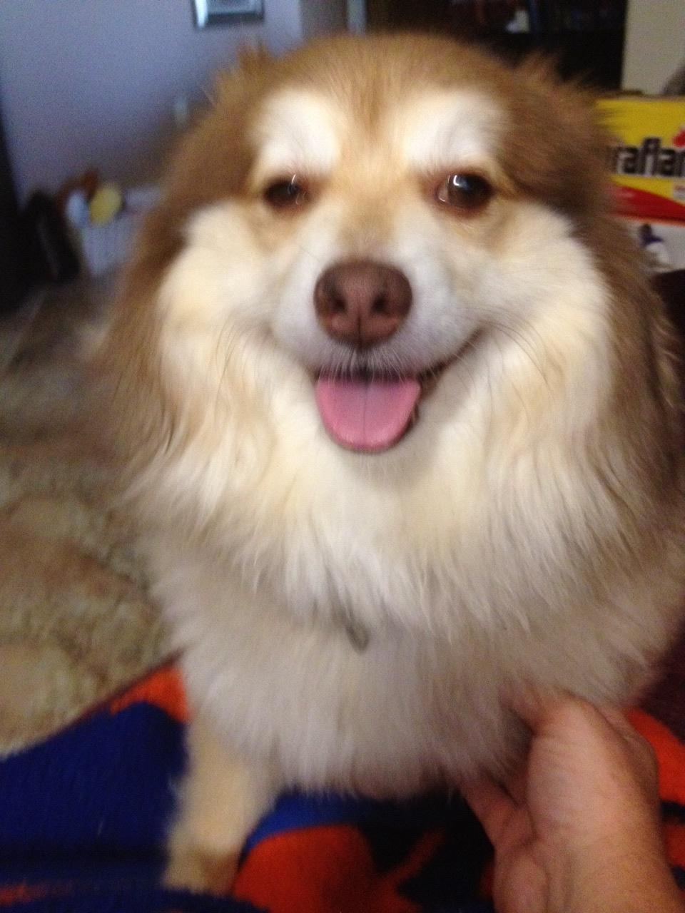 Alexandra Rucker (@Alex_Rucka) / Twitter