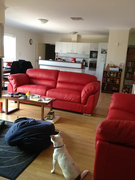 fdj2008's tweet image. My living room just shrank #newsofas