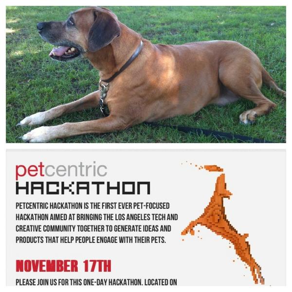 kevinwinston's tweet image. Psyched to be a judge at LA&apos;s first Pet Hackathon #PetHack @amplifyla. I&apos;m bringing my brother&apos;s dog to help judge!