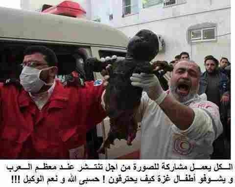 hisham73's tweet photo. @NadimKoteich please spread http://t.co/RITCcSw2
