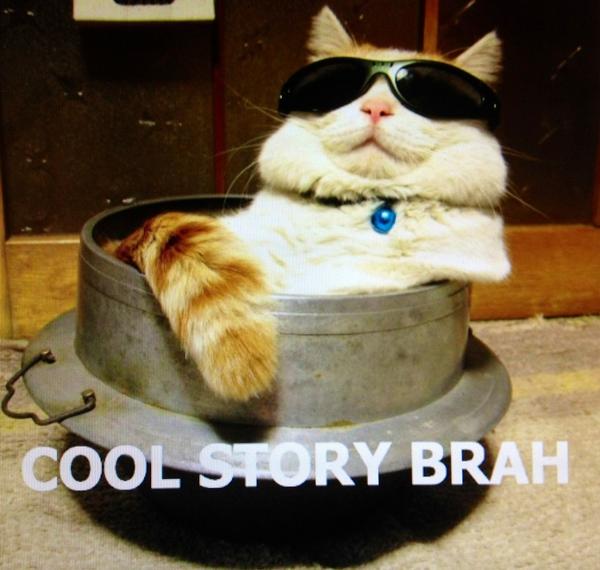 AnonymousSAAR's tweet photo. RT @CyranoNymous: The one and only leaderfag of #Anonymous  Happy #Caturday http://t.co/1ZAlPVce