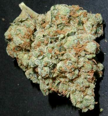 @Dutchwanted @bobnatural1 @NugsAndHugs @oMG_ITS_HER2 @mandizzlebear @SunniDaze419 #BESTofCALIFORNIA #MMJ ~CaliGoldKush~