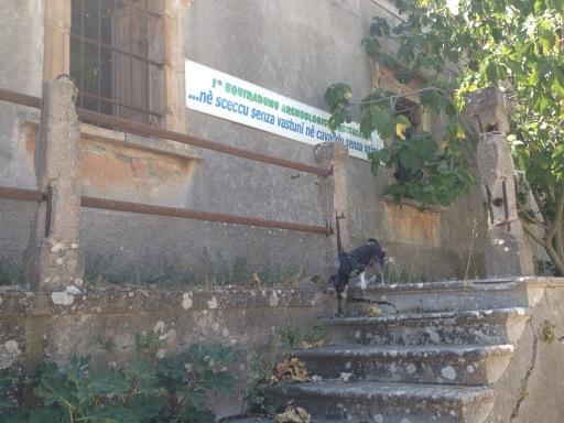 simonettaxx's tweet image. 