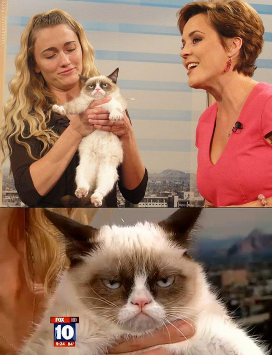 TardGrumpyCat's tweet image. #NobodyLikes TO BE ON TV.