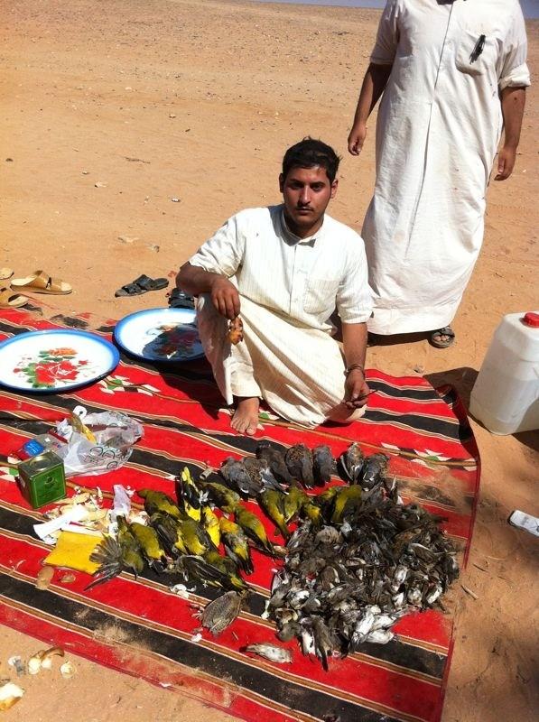 fahad9gaber's tweet photo. صيدنا بالاردن http://t.co/TTH1LjWQ