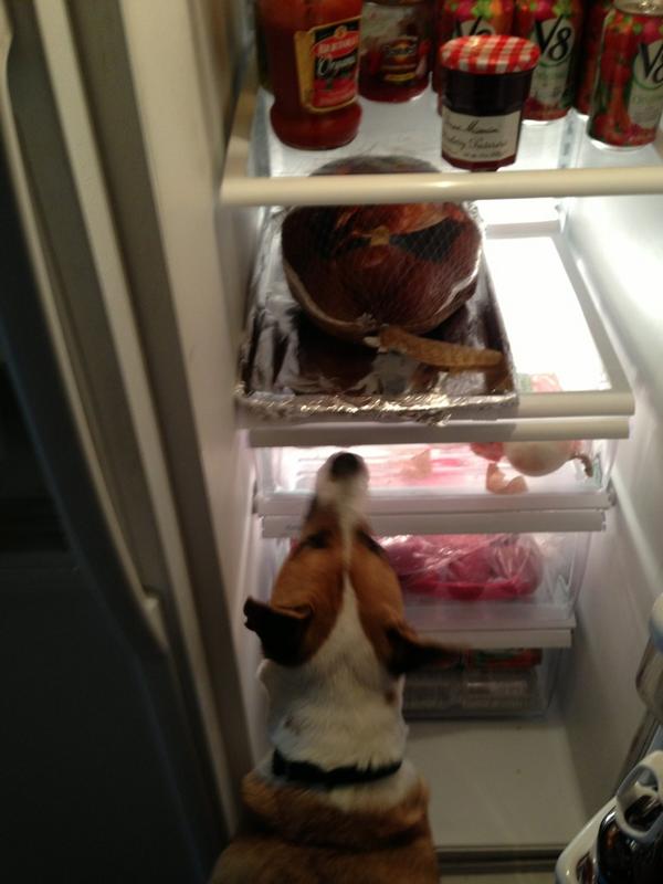 GMNYUnited's tweet image. Somebody is ready to jump the gun on Thanksgiving. #waitinline