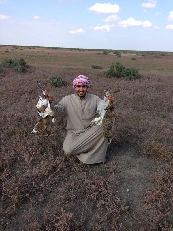84abuawadh's tweet photo. @fahad9gaber 


هاذه صيدنا باذر بيجان 
حباري وارنب http://t.co/uDfV3NGi